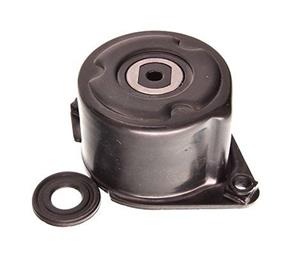 Bmw Riemspanner, Poly V-riem