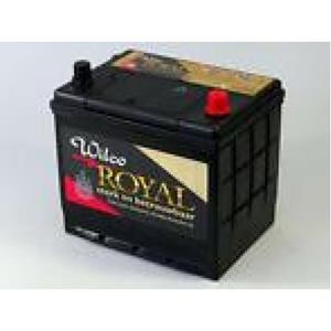 Wilco Royal accu 53587