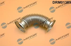 Nissan Leiding, AGR klep