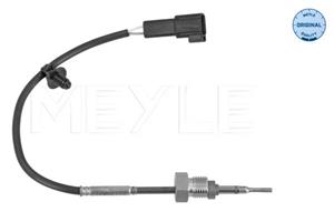 Ford Sensor, uitlaatgastemperatuur