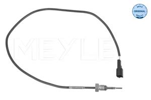 Ford Sensor, uitlaatgastemperatuur