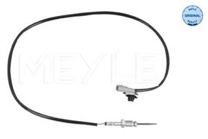 Renault Sensor, uitlaatgastemperatuur