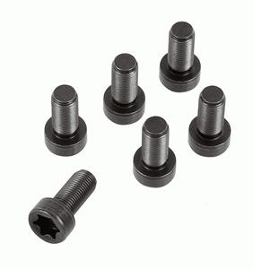 Schraubensatz, Schwungrad Sachs 1874 000 082