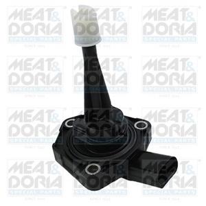 Audi Sensor, motoroliepeil