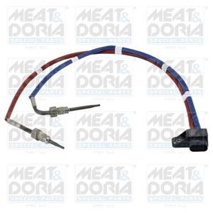 Renault Sensor, uitlaatgastemperatuur