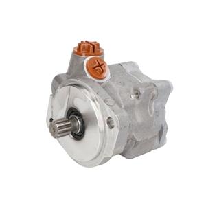Bosch Servo pomp  K S00 001 849
