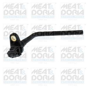 Renault Sensor, motoroliepeil