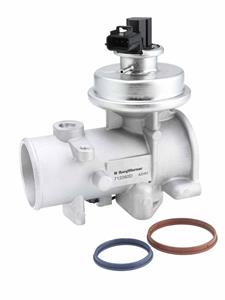 Ford EGR-klep