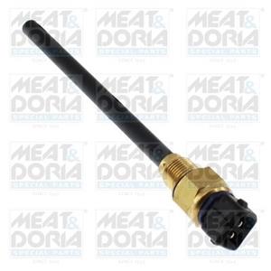 Renault Sensor, motoroliepeil