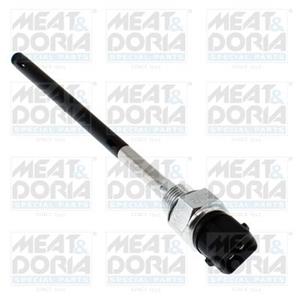 Renault Sensor, motoroliepeil
