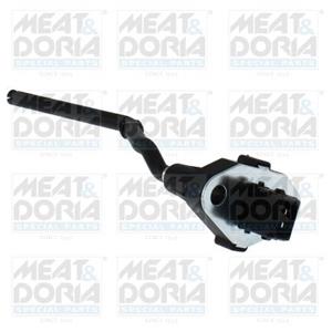 Renault Sensor, motoroliepeil