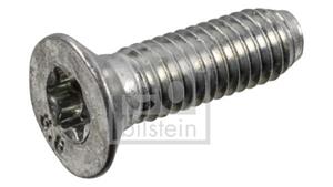 Buick Schroef, remschijf