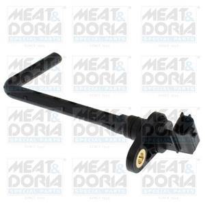 Renault Sensor, motoroliepeil