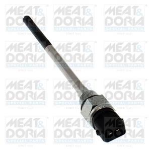 Renault Sensor, motoroliepeil