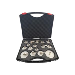 Weber Tools 17-delige remontluchteradapterset, ontluchtingsset hoofdremcilinder, ontluchtingsgereedschap voor re
