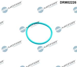 Ford Afdichting, EGR-klep