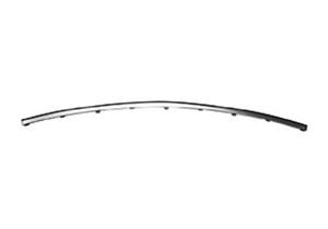 Lancia Bumperlijst Voor 11/06+