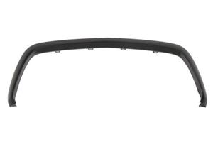 Mercedes-Benz Sier- / Beschermingspaneel, radiateurgrille