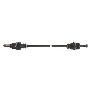 Point Gear As  PNG75702