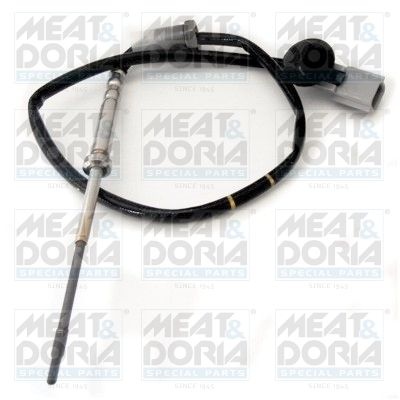 Opel Sensor, uitlaatgastemperatuur