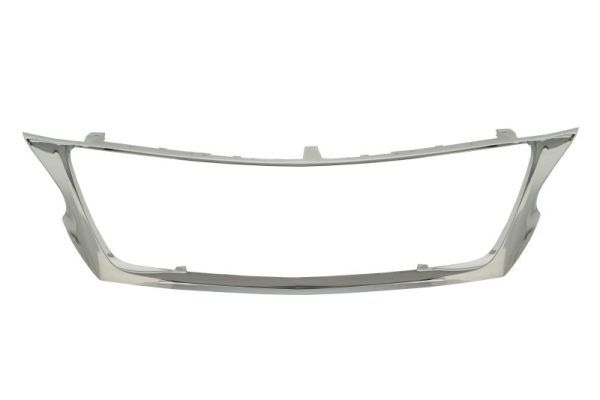 Lexus Sier- / Beschermingspaneel, radiateurgrille