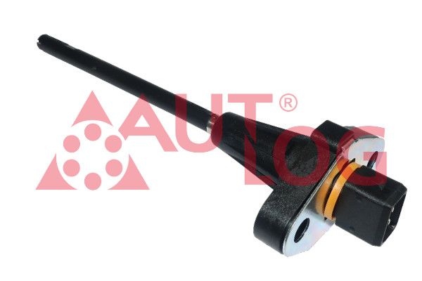 Renault Sensor, motoroliepeil