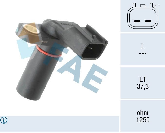 Ford Usa Nokkenassensor