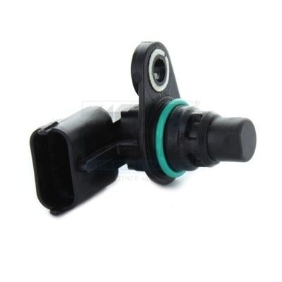 Ford Nokkenassensor