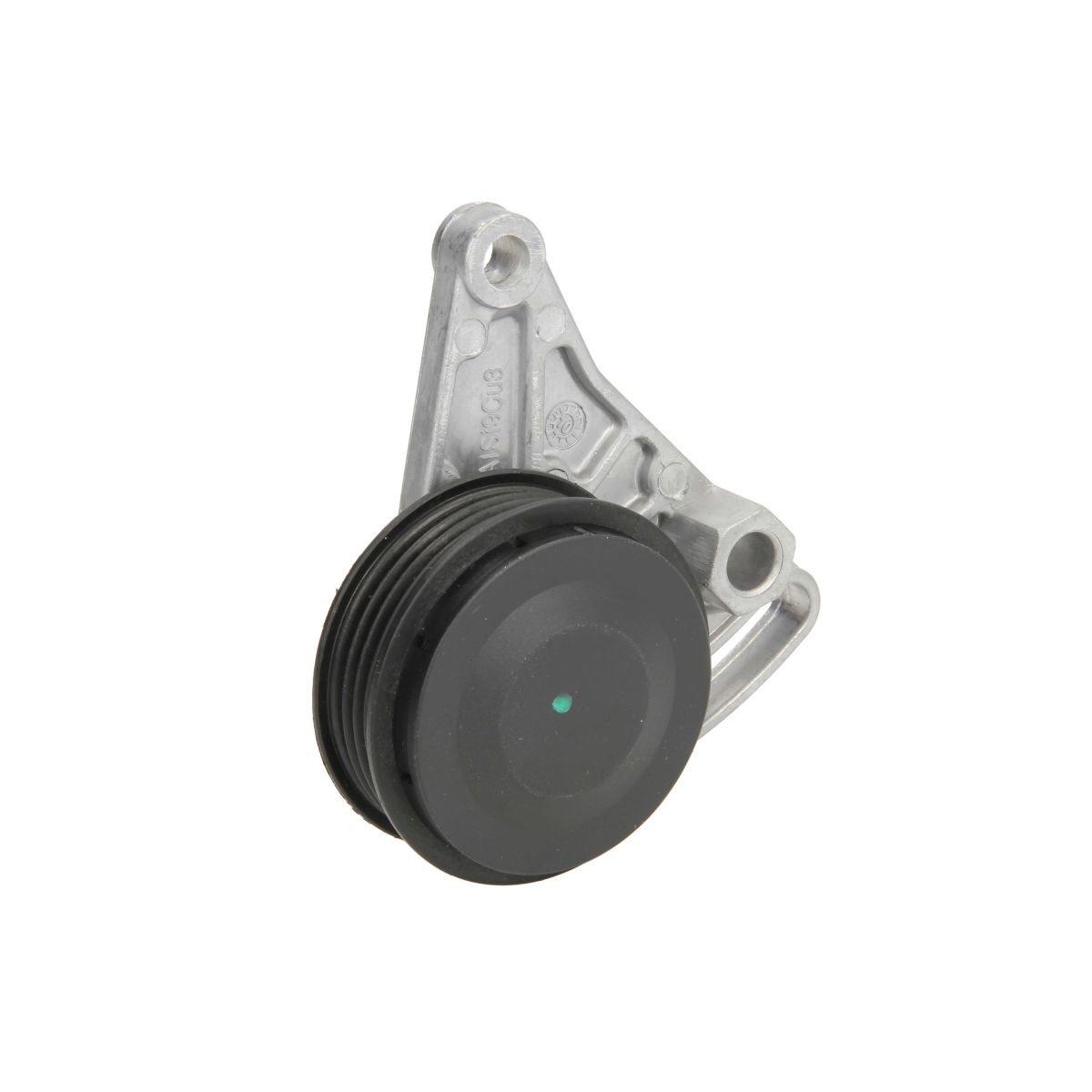 Bta Spanpoelie, V-riem  E3W0021