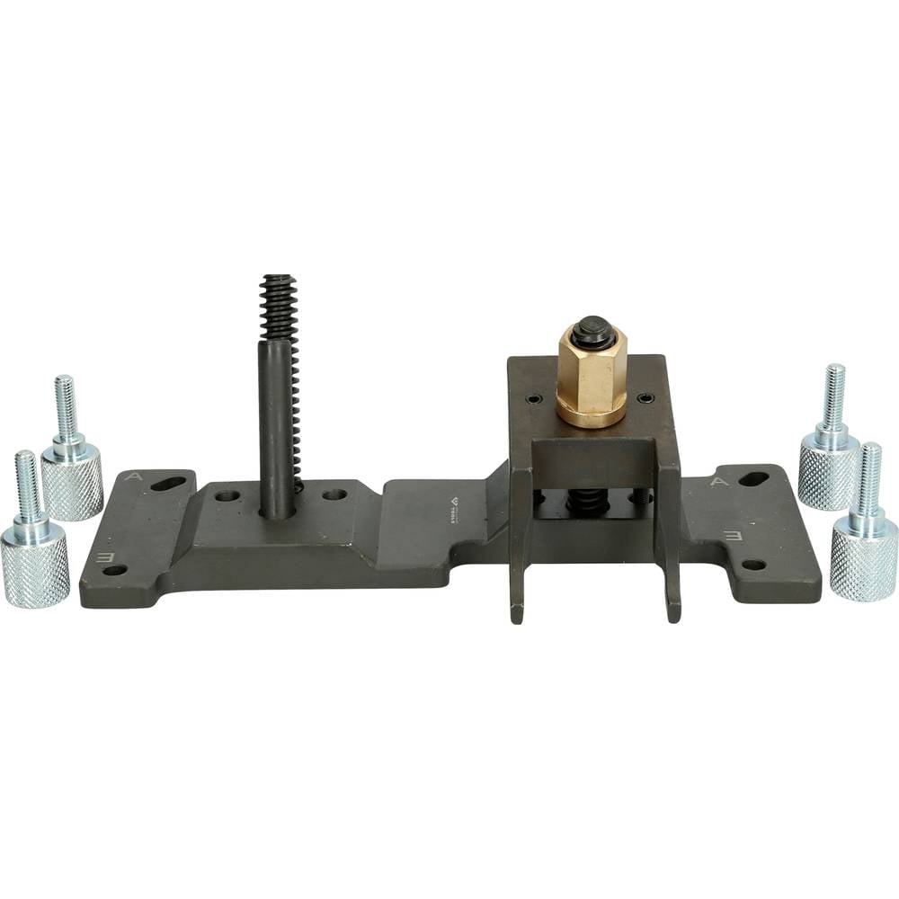 Brilliant Tools BT541060 Nokkenasmontagegereedschap voor BMW N53, N54
