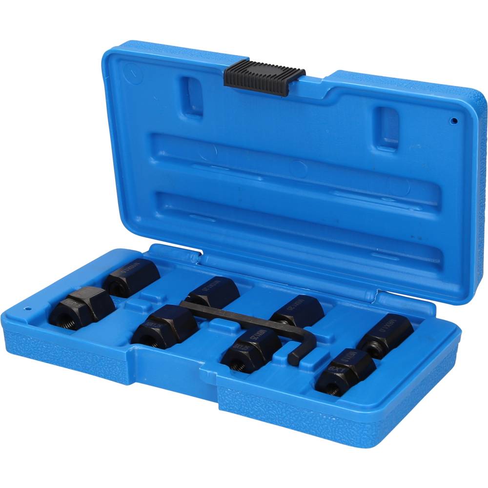 Brilliant Tools BT542000 Steekbout-uitschroevendraaierset