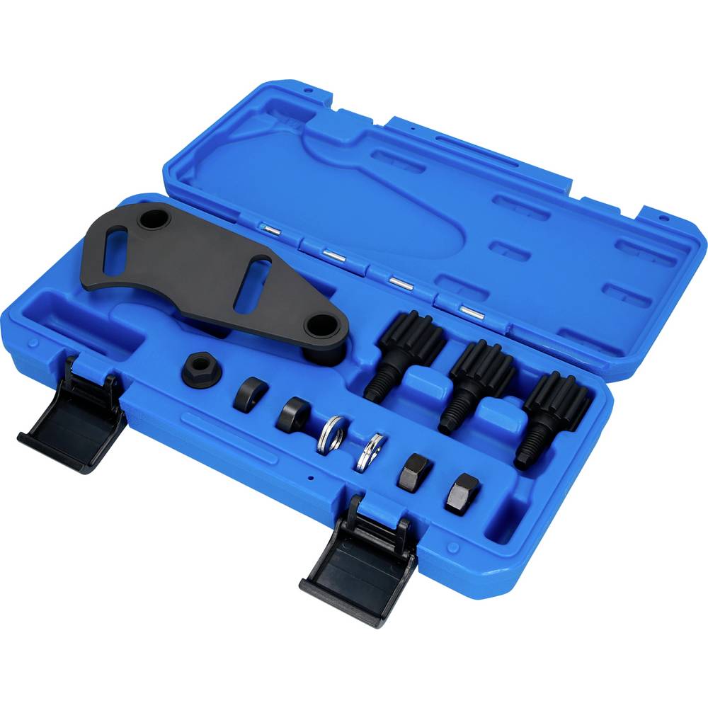 Brilliant Tools BT594580 Nokkenasblokkeergereedschap voor Renault 1.8, 2.0 16V