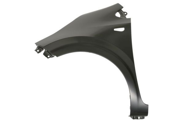 Kia Spatbord