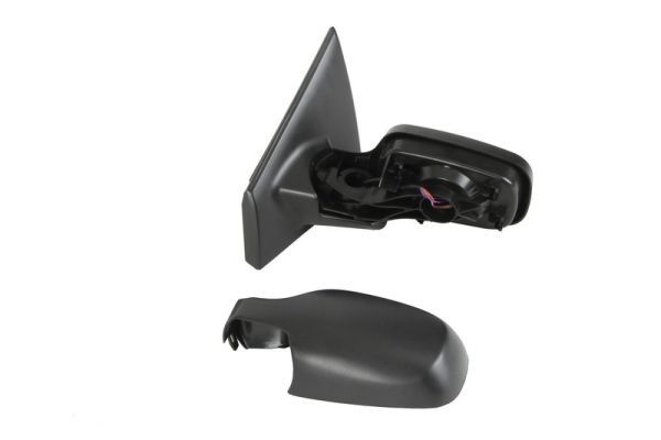 Renault Buitenspiegel