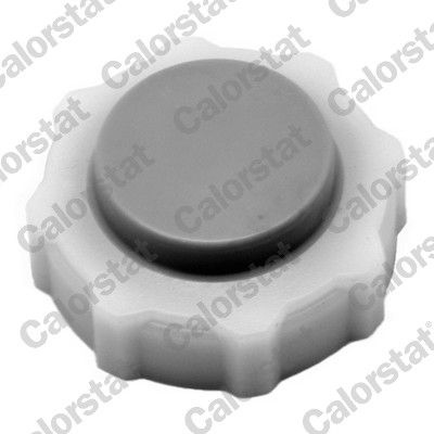 Alpine Bouchon De Radiateur / Radiator Cap