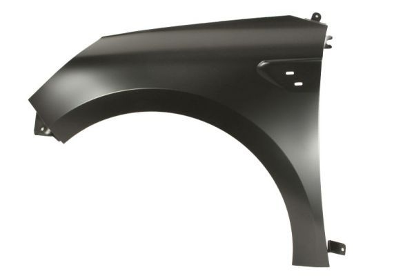 Renault Spatbord