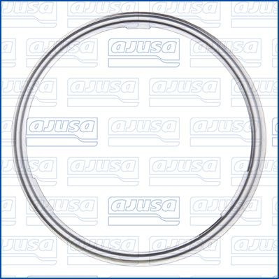 Jaguar Dichtring, leiding EGR-klep