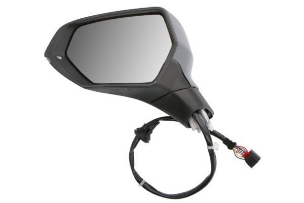 Cupra Buitenspiegel