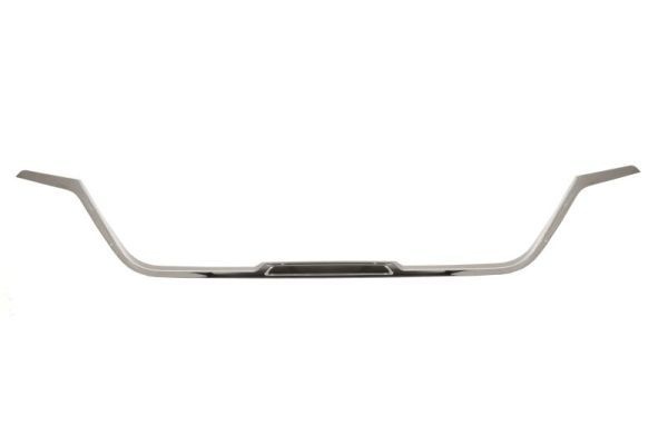 Renault Sier- / Beschermingspaneel, radiateurgrille