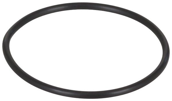 Audi Pakking, inlaatspruitstuk omkasting