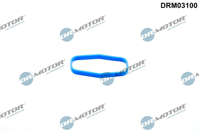 Citroen Pakking, oliepomp