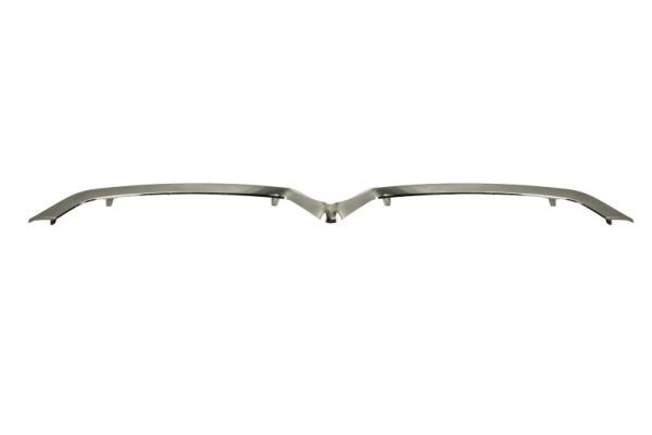 Citroen Sier- / beschermingspaneel, bumper