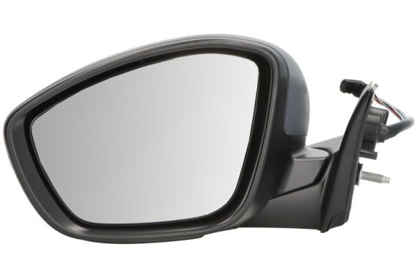 Citroen Buitenspiegel