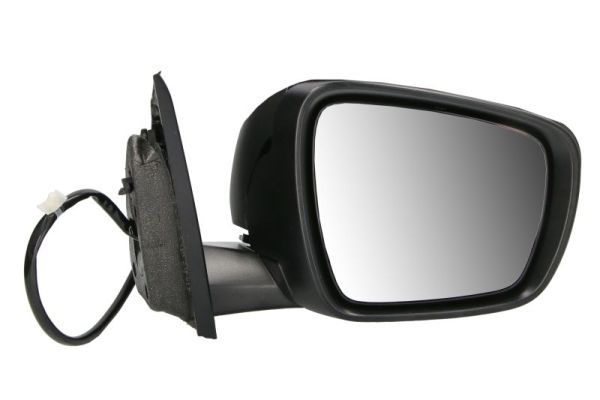 Renault Buitenspiegel