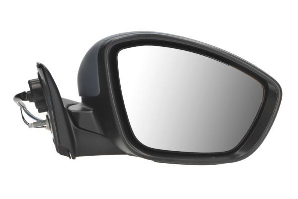 Citroen Buitenspiegel