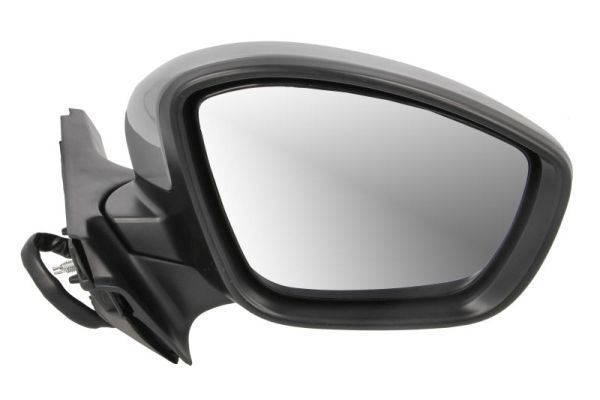 Citroen Buitenspiegel