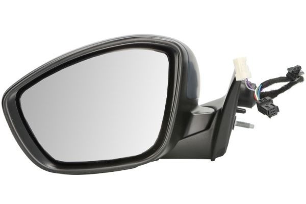 Citroen Buitenspiegel