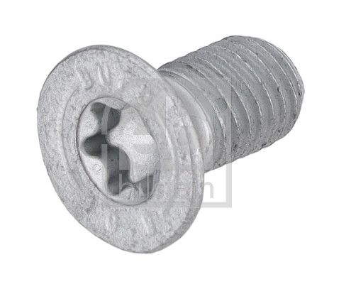 Ford Schroef, remschijf