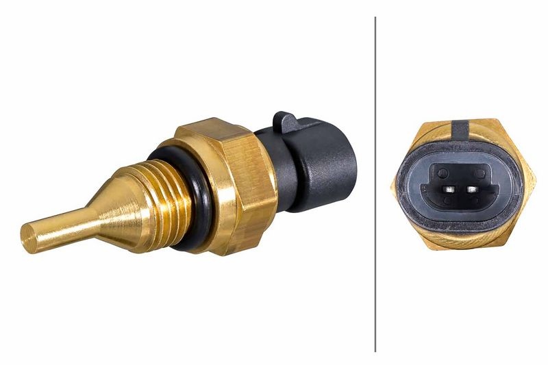 Ram Sensor, koelvloeistoftemperatuur