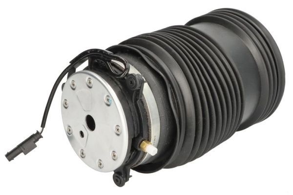 Mercedes-Benz Luchtvering, chassis